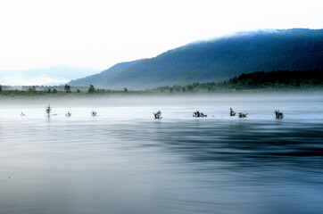 heavy mist over river landscape