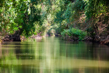 Danube Delta Landscape