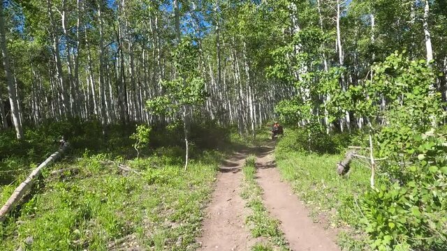 Driving recreation ATV mountain trail Aspen forest 4K POV. Nature in natural environment. Recreation, off road, 4x4 exploring and adventure riding UTV / ATV / OHV. Destination.