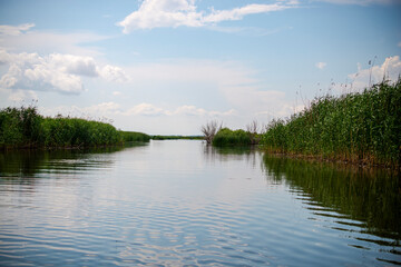 Danube Delta view