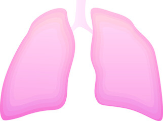 Vector illustration of lungs. Medical icon