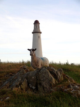 The Hoad Monument, a replica of the Eddystone Lighthouse, in Ulverston, Lakeland district, Cumbria, England, UK.