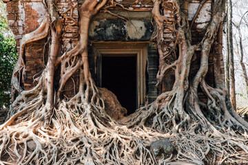 Fototapeta premium angkor wat siem reap cambodia