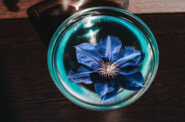 Obraz na płótnie Canvas Blue flower in a transparent bowl with water. Spa and beauty concept.