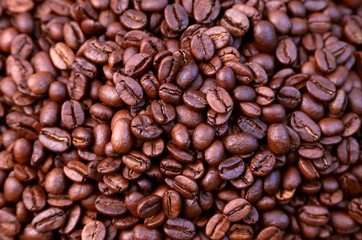 Roasted coffee beans