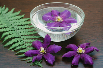 Bowl with water on a brown wooden background. A large purple flower in a bowl with water. Flowers and fern leaf on a wooden background. Aromatherapy, spa, relaxation.