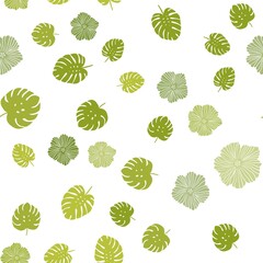 Light Green vector seamless natural artwork with flowers, leaves. Abstract illustration with leaves, flowers in doodles style. Template for business cards, websites.