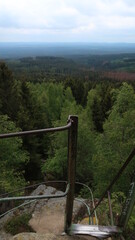 Fototapeta na wymiar Wanderung im Wald - Harz - Brocken