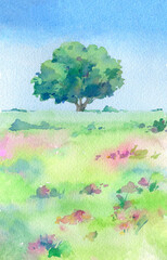Green tree in field.Watercolor hand drawn illustration. - 360035308