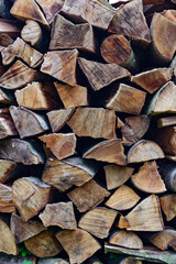 Fototapeta premium background texture with wood logs