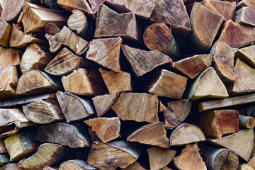 
background texture with wood logs