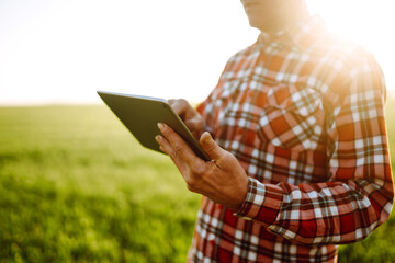 Tablet in the hands of the farmer to check the condition of the crop. Smart farm. Agro business.