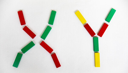 Figures made of colored children's wooden sticks.