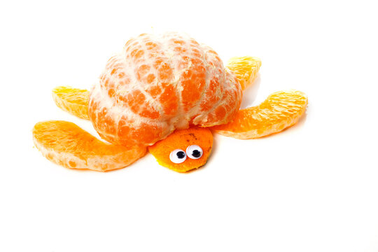 Food art creative concepts. Turtle made of mandarin orange and skin. Funny dessert for children. Fruit isolated on a white background.