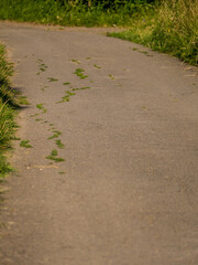 Strassenschäden