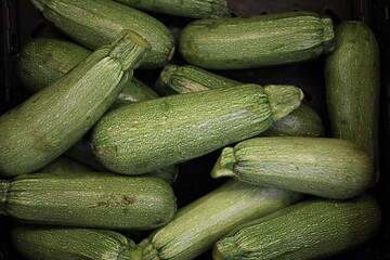 Calabaza