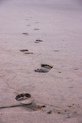 Footprints on the wet sand at the seaside in the summer, someone's going away.