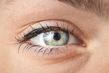 Close-up of a beautiful female blue eye