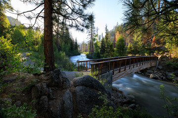 Morning along the Stanislaus River with a foot bridge in the foreground among a wooded forest in...