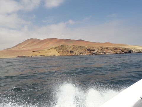 Ballestas Islands Paracas Peru 2019