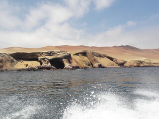 Ballestas Islands Paracas Peru 2019