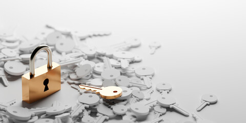 Padlock with infinite keys, metaphor of problems, solutions  and risk management; original 3d rendering