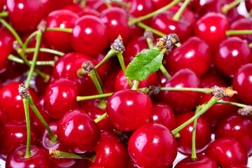 Background with red cherries. Ripe fresh cherry