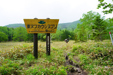 登山道