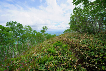 東ヌプカウシヌプリ登山道