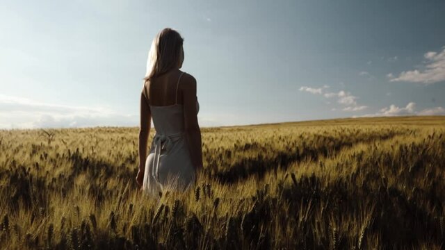 Video of blonde woman with suitcase at wheat field in summer time