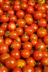 Healthy tomatoes background juicy bright red ripe cherry tomatoes