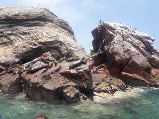 Ballestas Islands Paracas Peru 2019