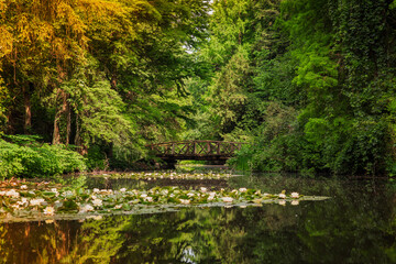 pond in the park wit wood bridge