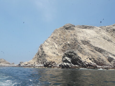 Ballestas Islands Paracas Peru 2019