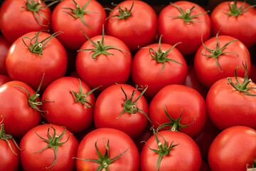 a lot of red tomatoes background