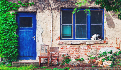 Fototapeta na wymiar Two cats sitting infront of old poor house in lonely village