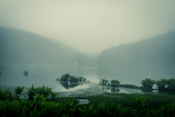 Fototapeta na wymiar Foggy and mysterious landscape of Lagoons in São Miguel Island, Azores, Portugal