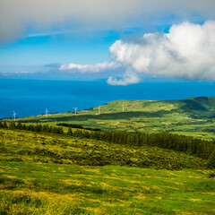 Fototapeta na wymiar Beautiful green landscapes along the ocean in Faial island, Azores, Portugal and the view to Pico island and the mountain