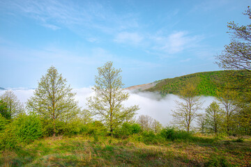 Fototapeta na wymiar Morning fog on the hill