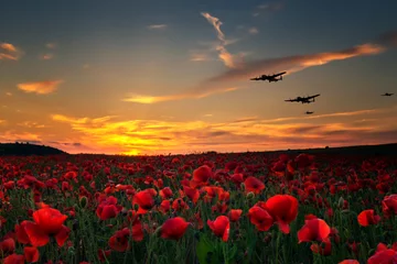 Fotobehang Lest we Forget, poppy field with WW11 planes flying across as the sun goes down. Remembrance Day, Anzac Day tribute to the fallen. © alec