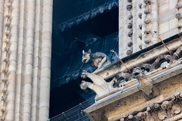 Gargoyles of Notre Dame Cathedral, Paris, France