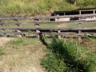 Natural photo without filter Fabiano Dias +55 22 998517099