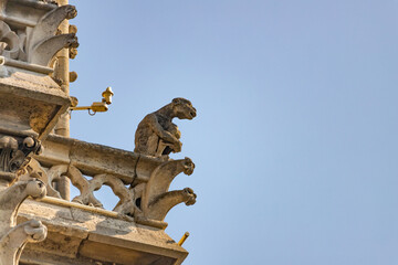 Obraz premium Gargoyles of Notre Dame Cathedral, Paris, France