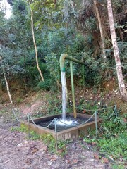 Natural photo without filter Fabiano Dias +55 22 998517099