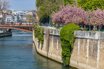 Paris, France, Seine embankment with flowering trees