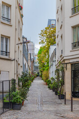 Fototapeta na wymiar Cobblestone street with houses and potted plants in Paris, France
