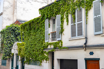 Fototapeta na wymiar Building with green vines on the wall and shutters in Paris, France