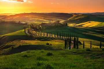 rural landscape with green fields and hills in tuscany at sunset