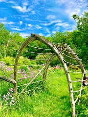 Garden under the sky