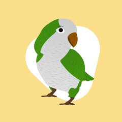 Illustration of Parrot Cartoon, Cute Funny Character, Flat Design